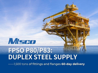 //iirorwxhjljjlr5q-static.micyjz.com/cloud/lpBpoKqilpSRllqqkoiriq/MTSCO-FPSO-P80-duplex-steel-fitting.jpg